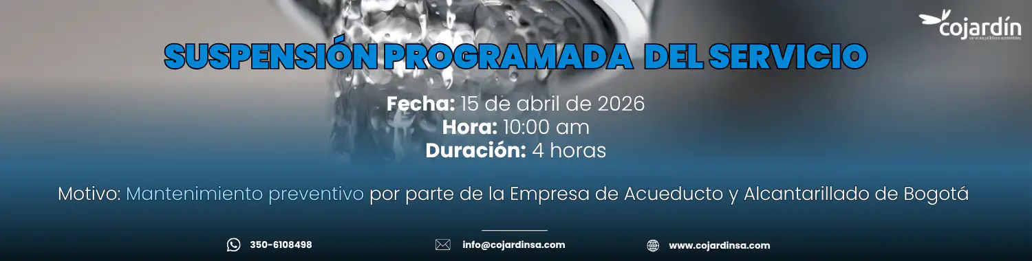 Suspension15042026_Web